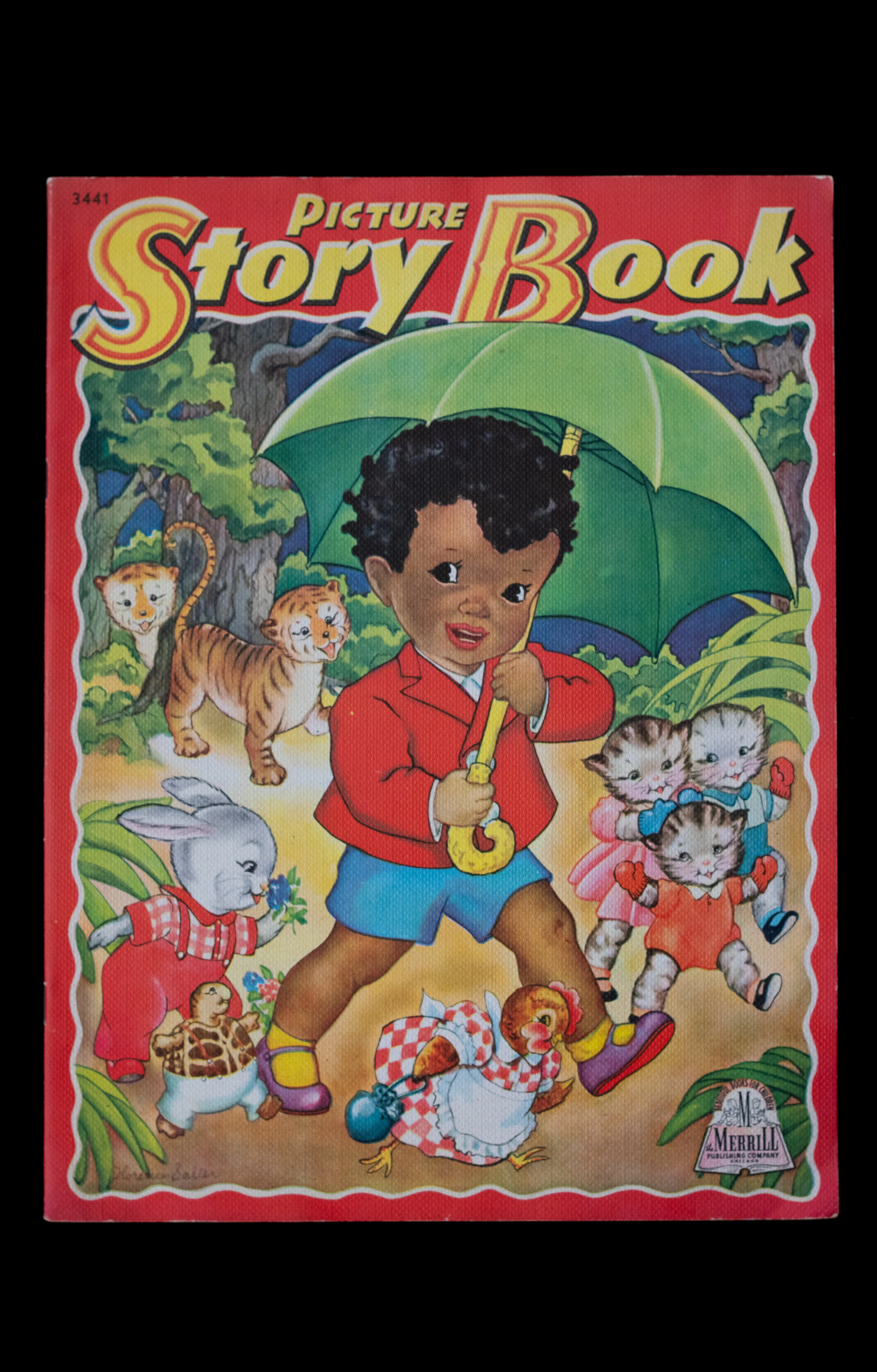 Picture Story Book