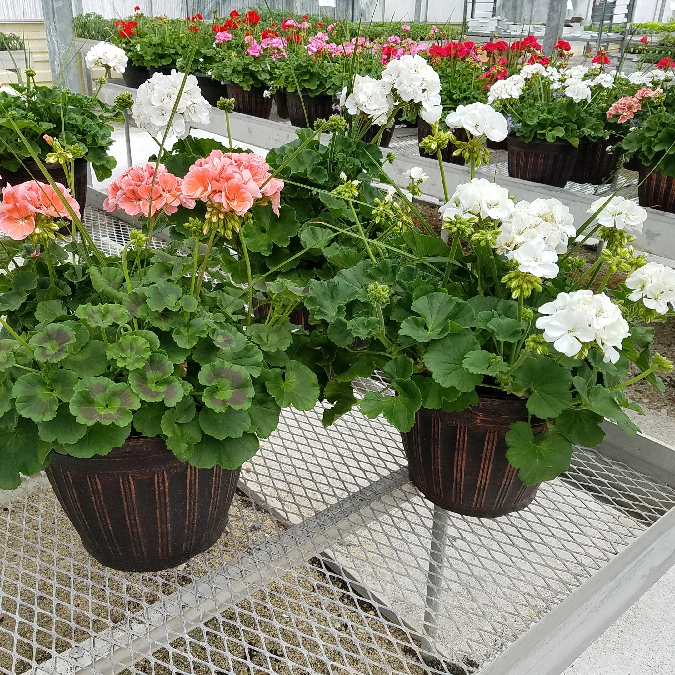 20180502_130053.jpg