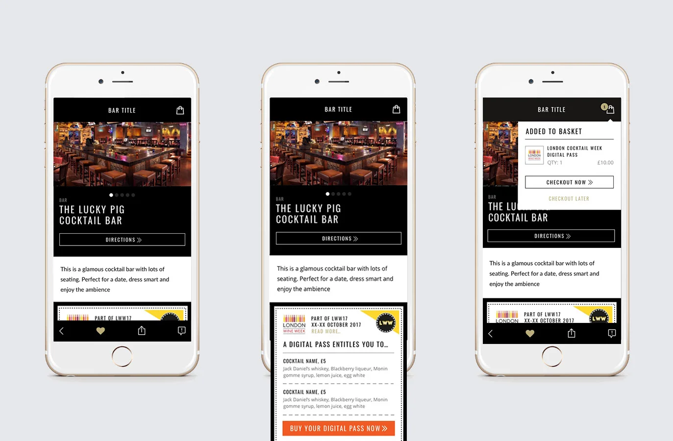 app2-copy.jpg