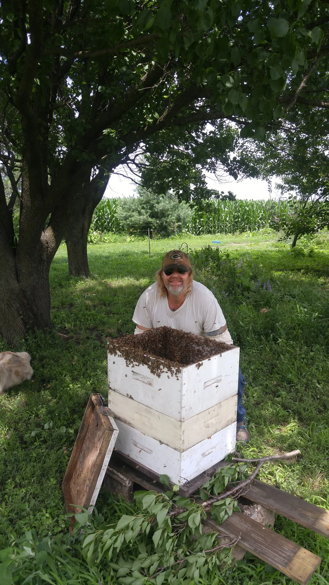 scott with bees in hive.jpg