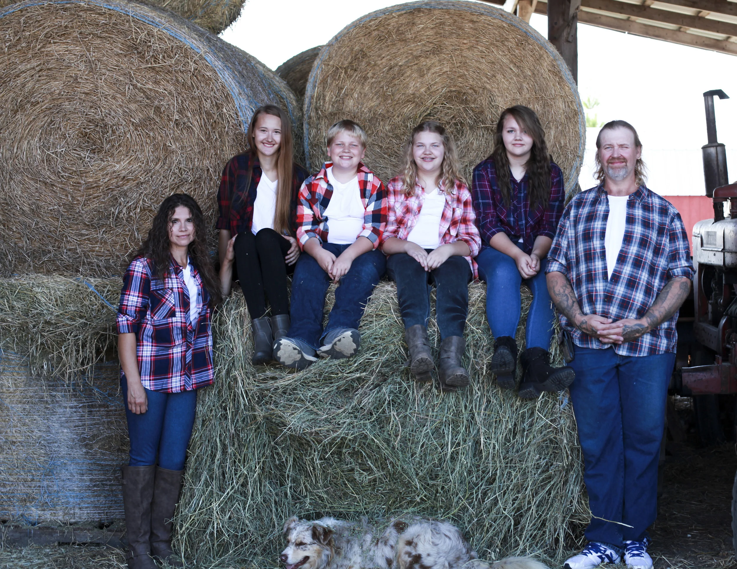 all of us by hay.jpg