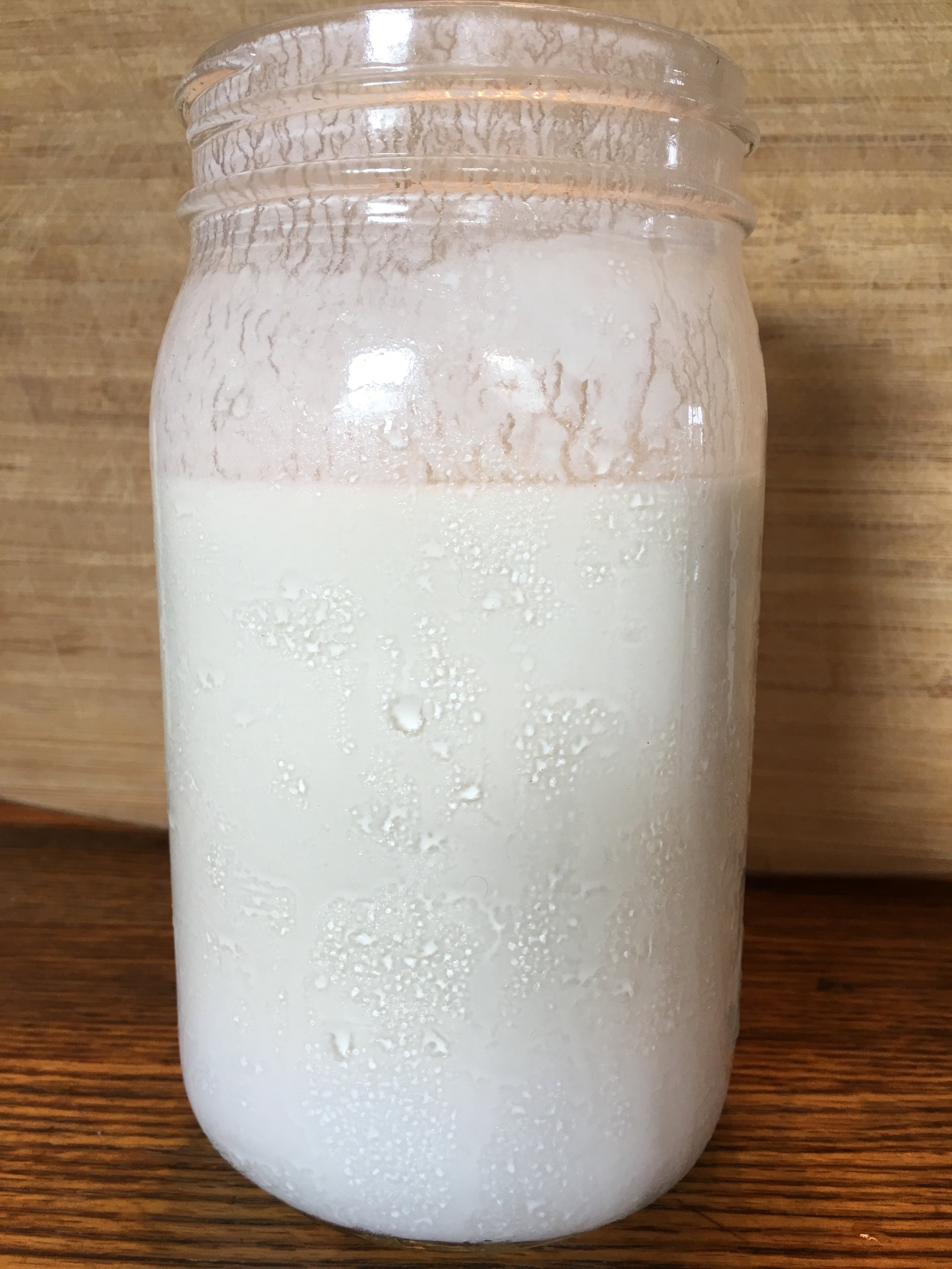 ULTIMATE Milk Kefir Guide (how to make it, troubleshooting tips