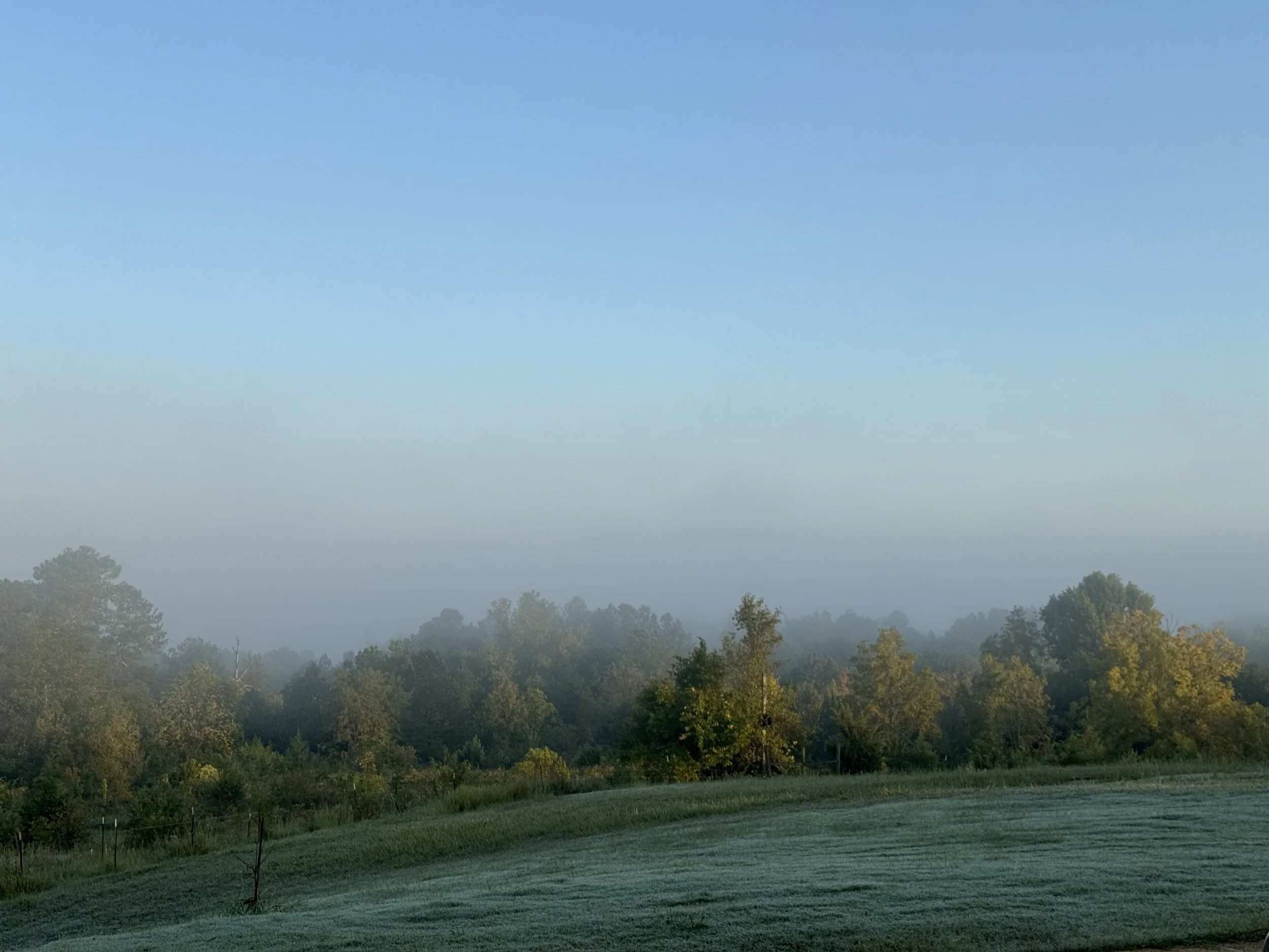 Stirrings at First Baptist Starkville