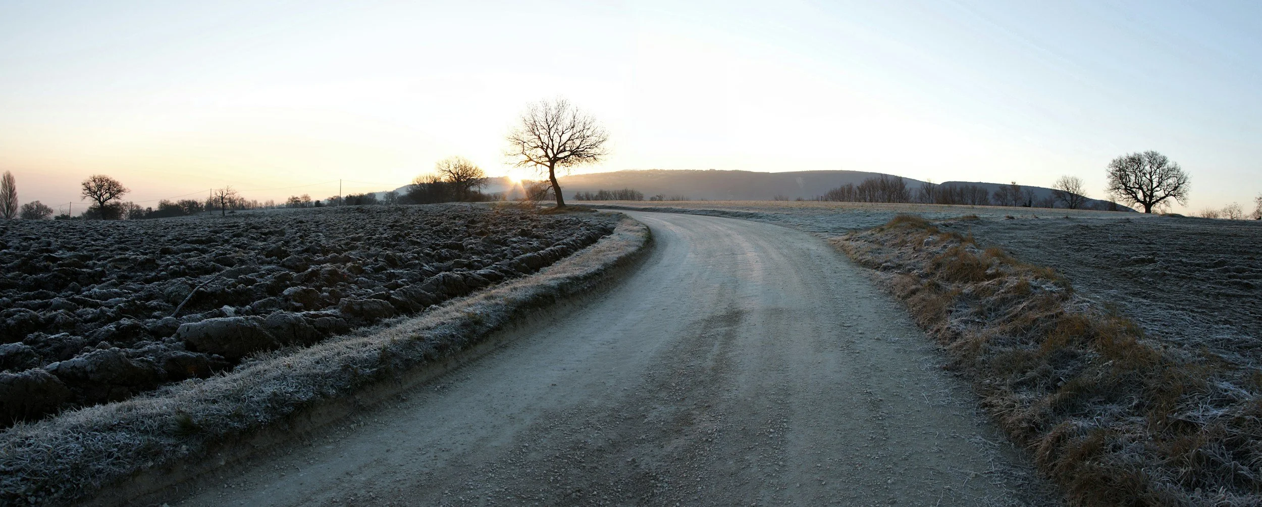 Lessons from the Field, Part 2: Learning to Sow