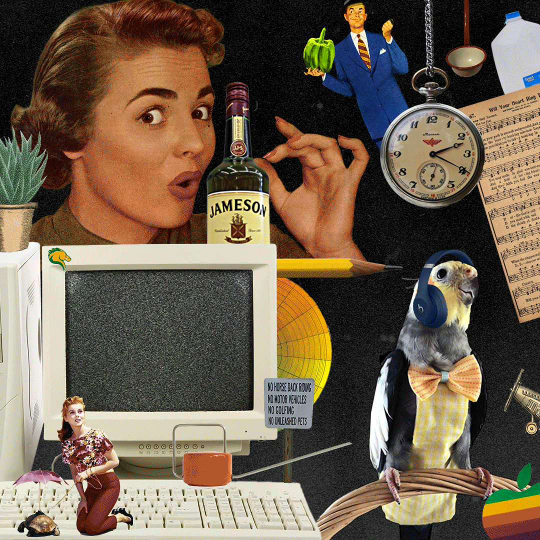 MK-collage.gif