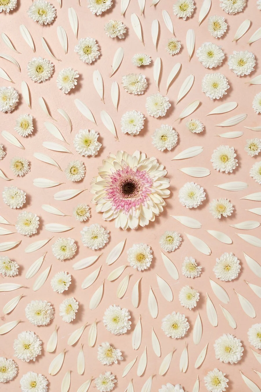 Creative Look 02_x_0175.jpg