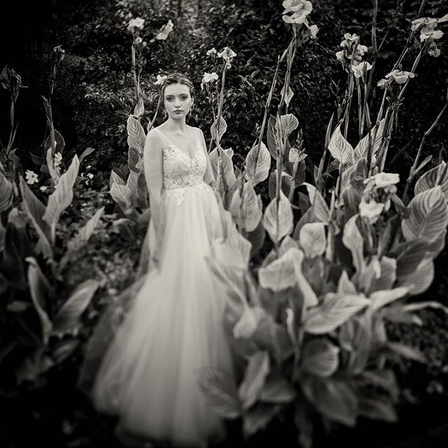 It&rsquo;s all about the dress !  #weddingdress #johannesvankan #creativeweddingphotography #bride #love #newlyweds