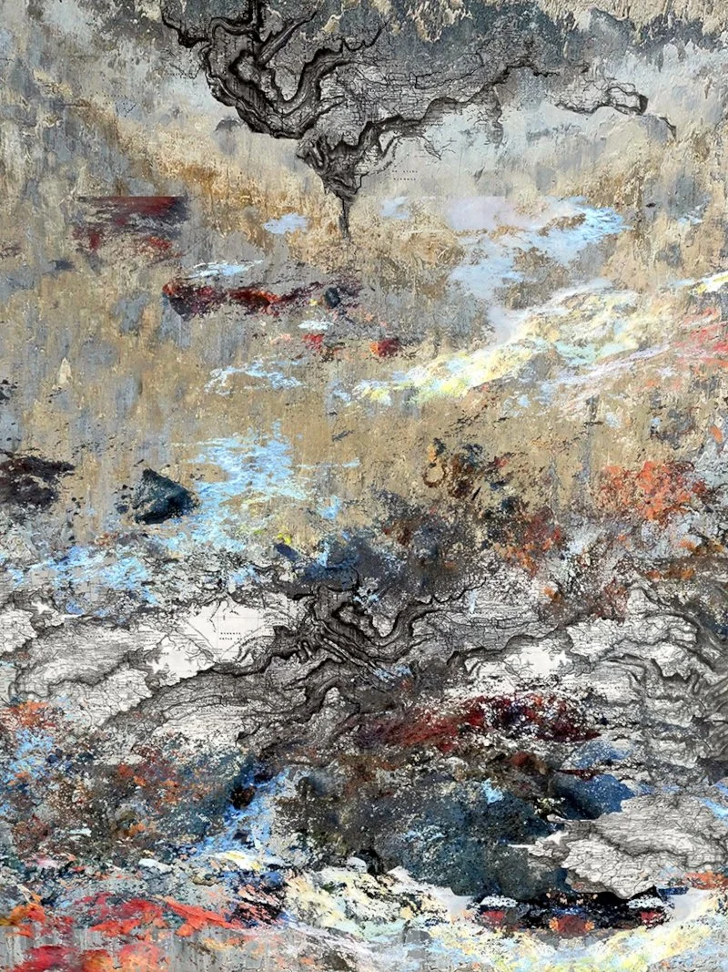 Paysage aux fuligineuses (photographie et montage cartographique)
