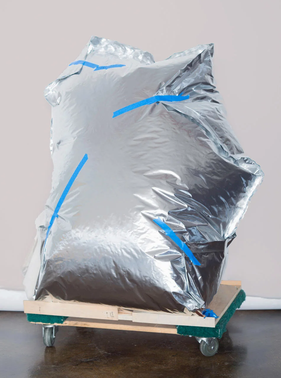 Anoxic fumigation of a contemporary art object.