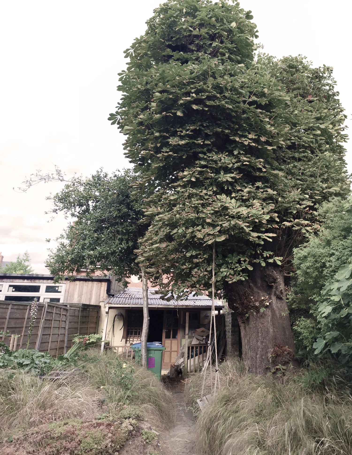 studioort_170831_gardenstudio_twickenham.jpg