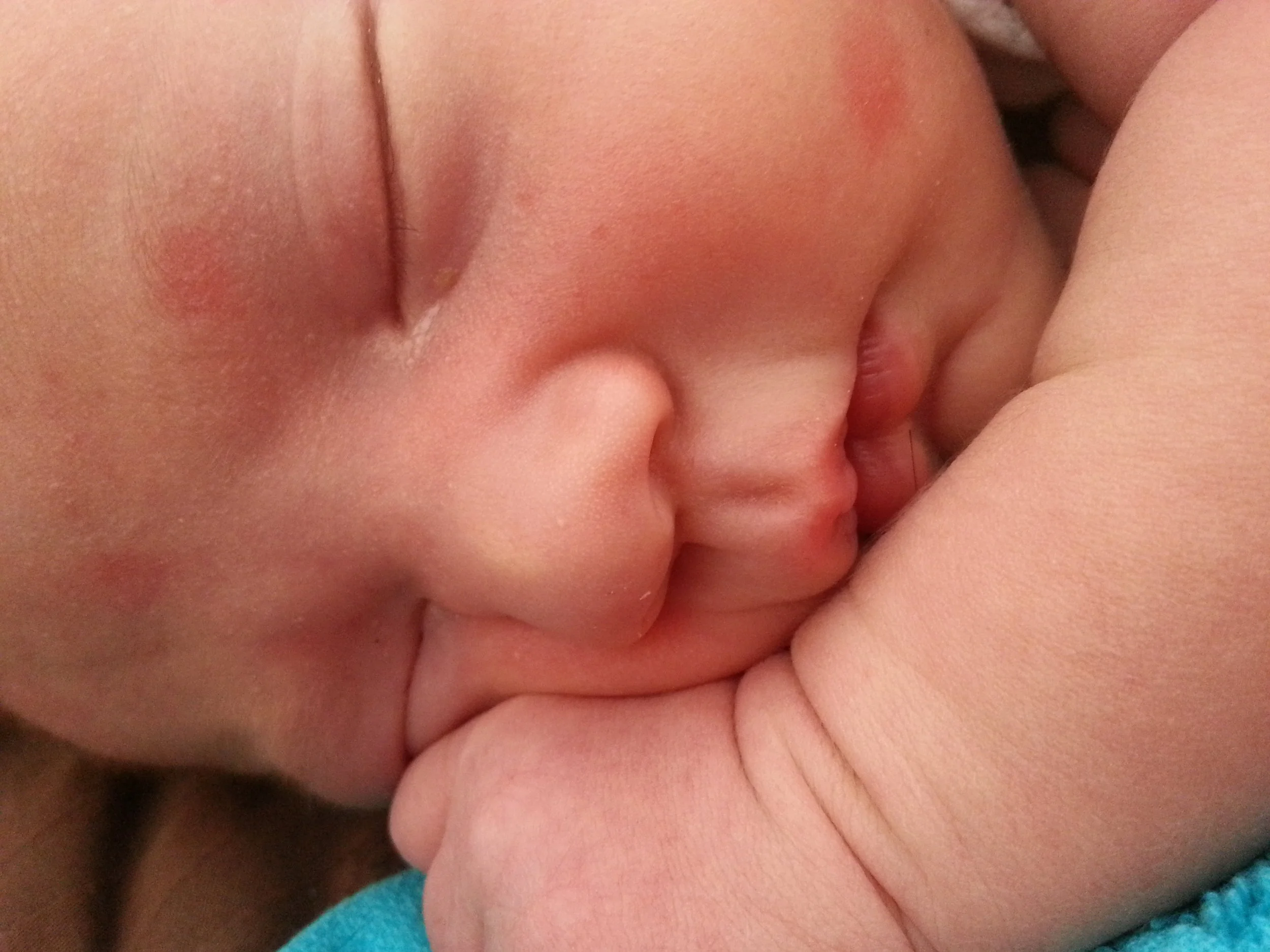 2014-03-17 07.35.31.jpg