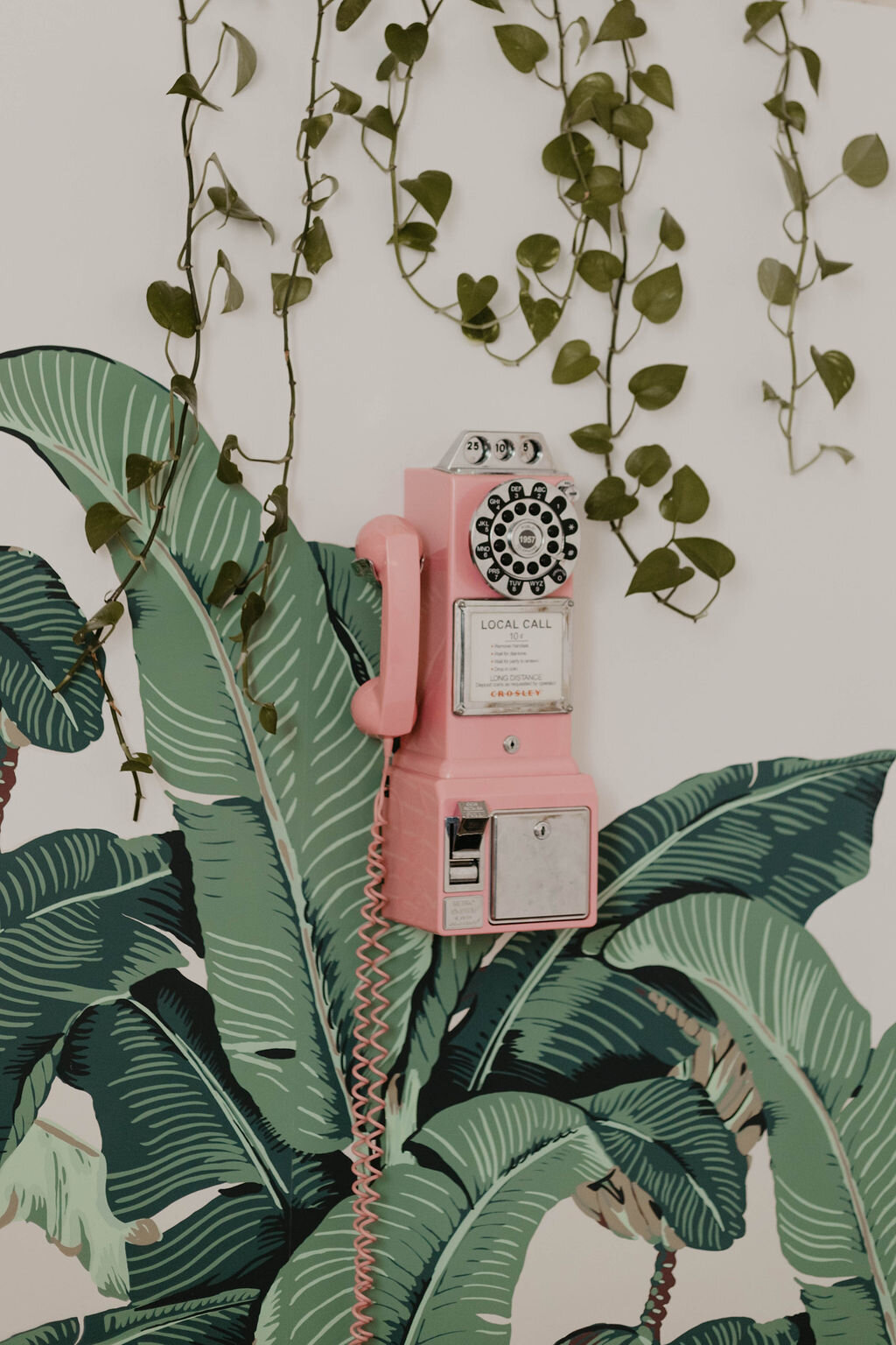 banana leaf wallpaper, pink phone 