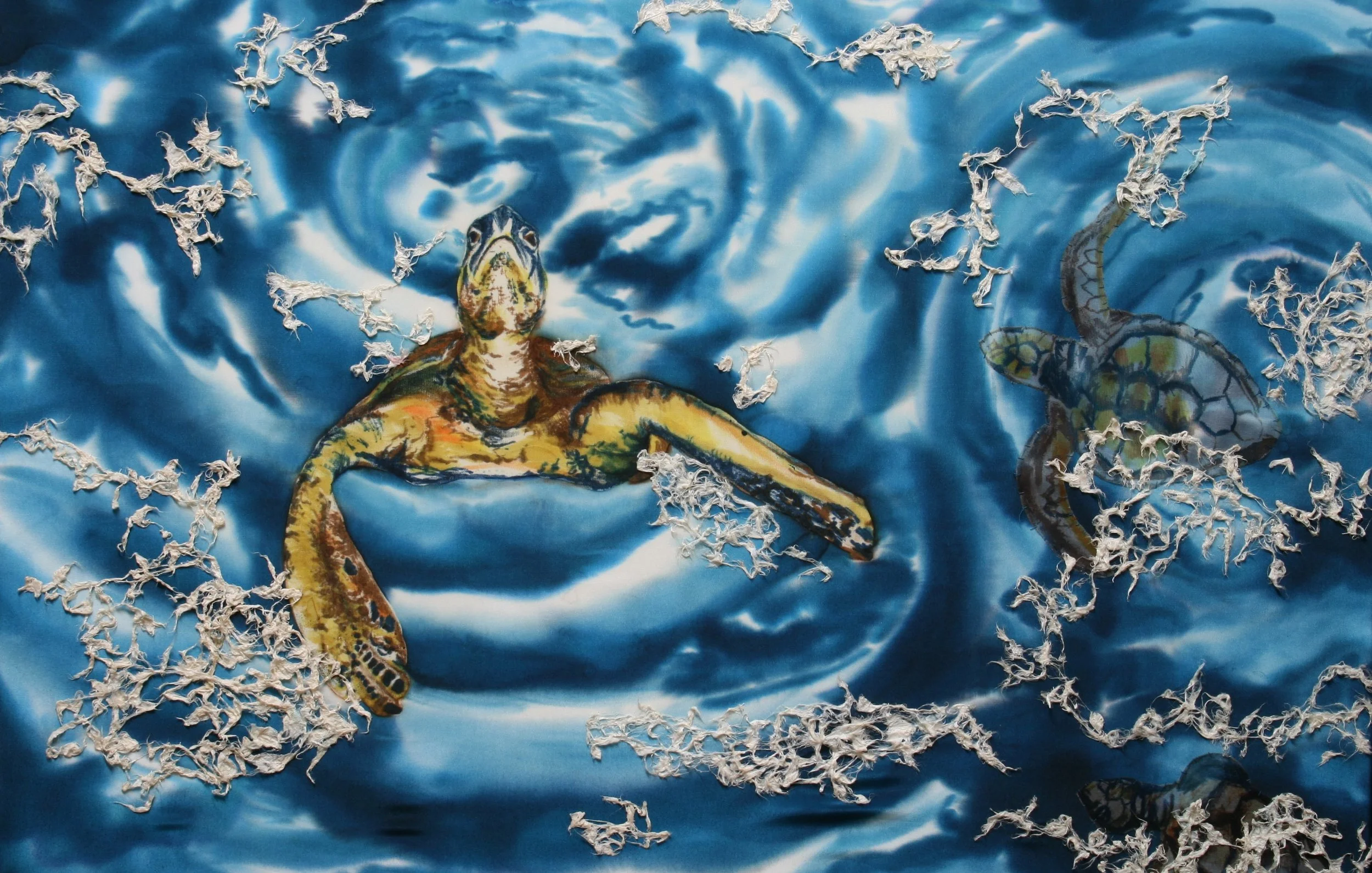 turtles in sargasum 5.JPG