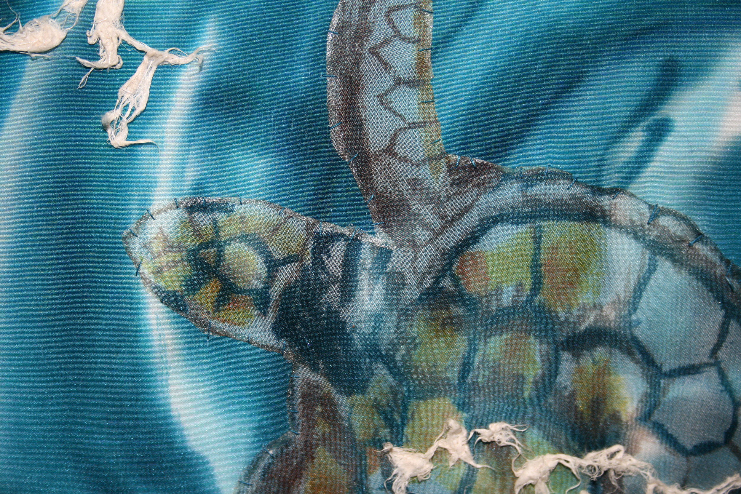 detail_Turtles in sargasum 1.JPG