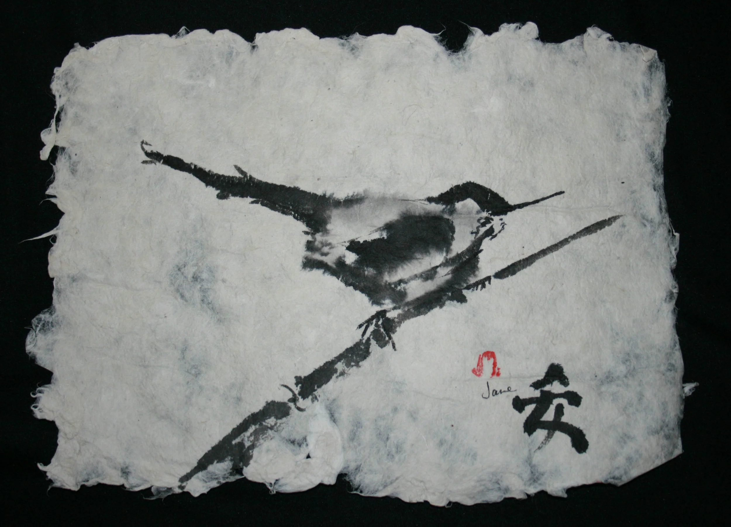 Bird