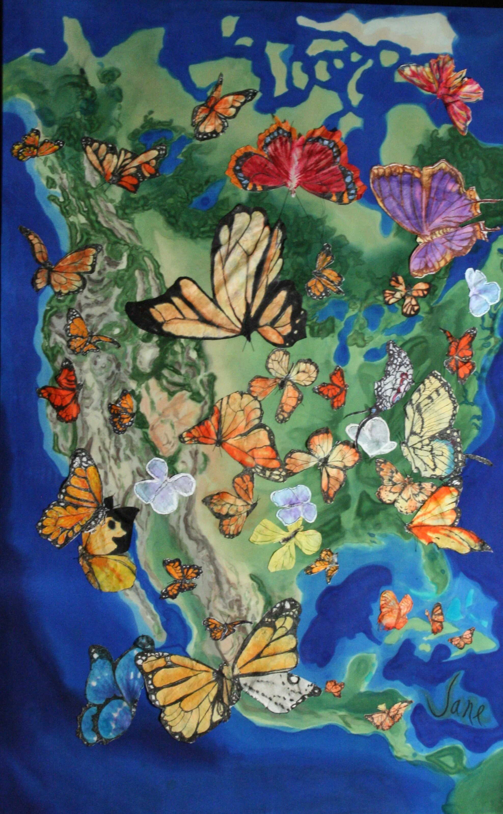 To risk Migration[23299].JPG