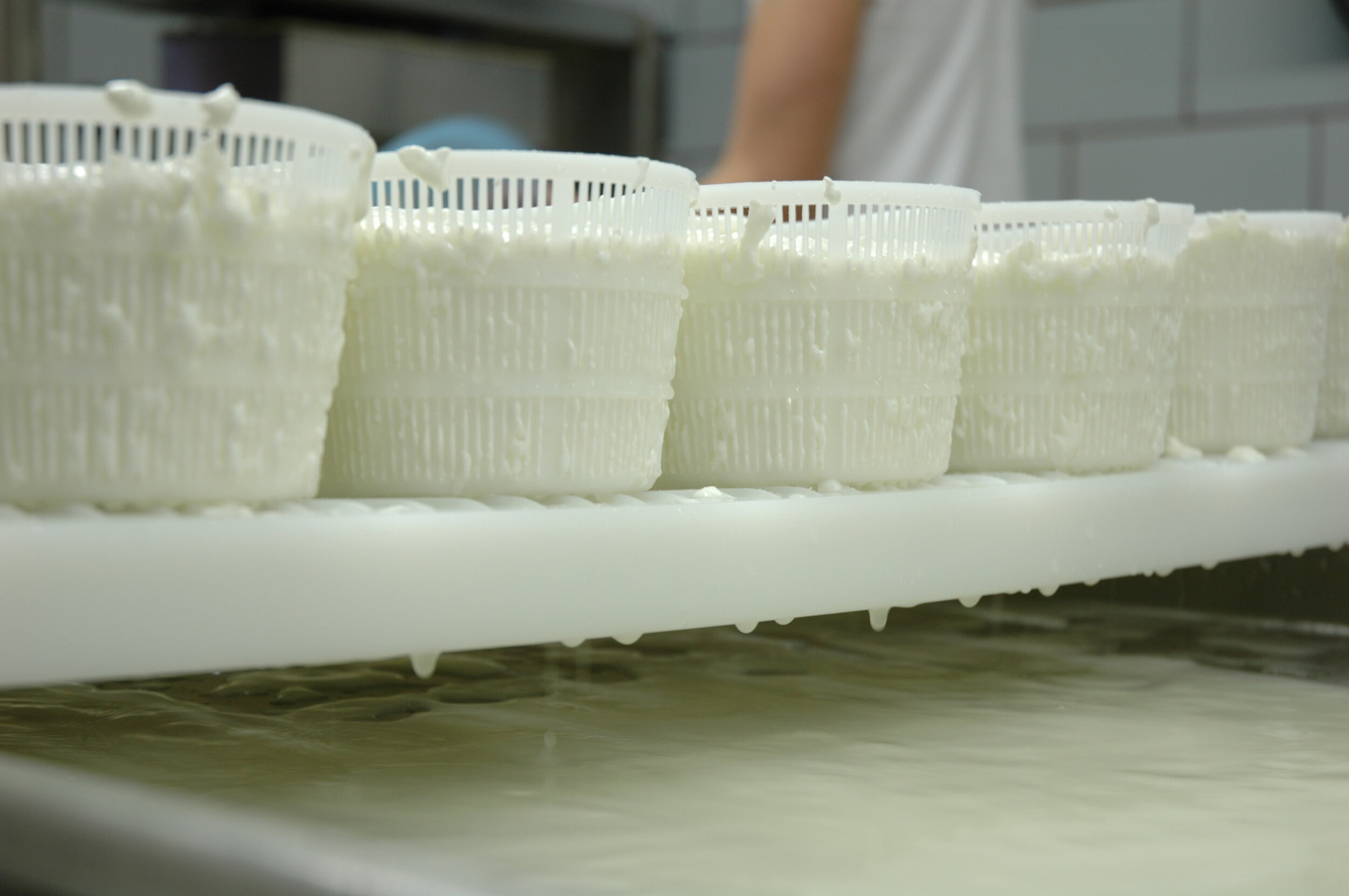 Firefly Farms- Maryland