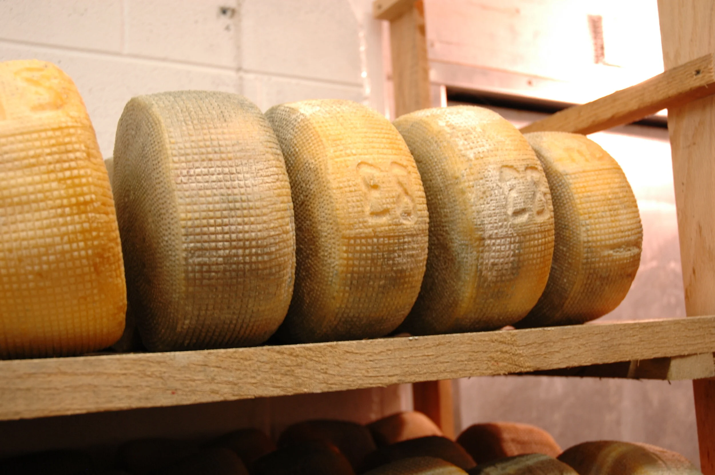 Everona Dairy- Virginia