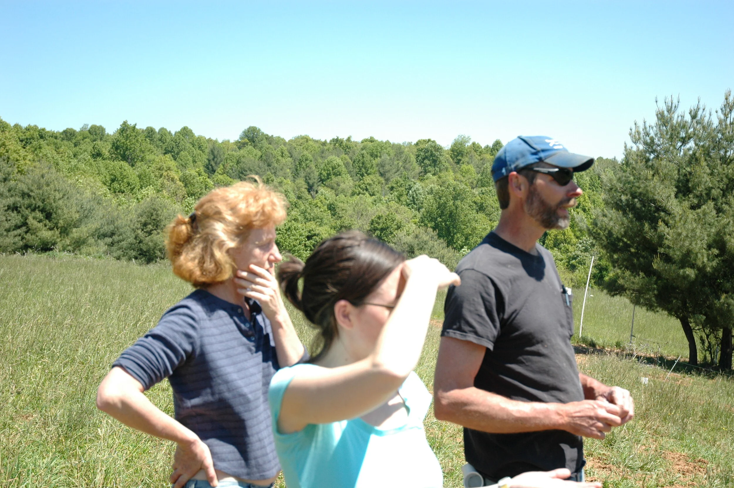 Meadow Creek Dairy: Virginia