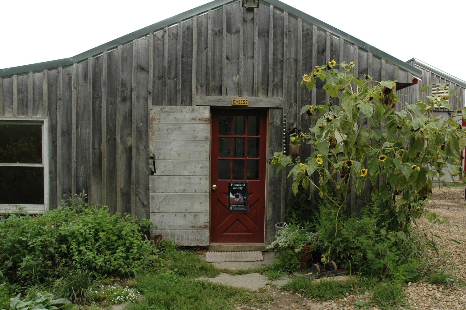 Cato Corner Farm: Connecticut episode artwork