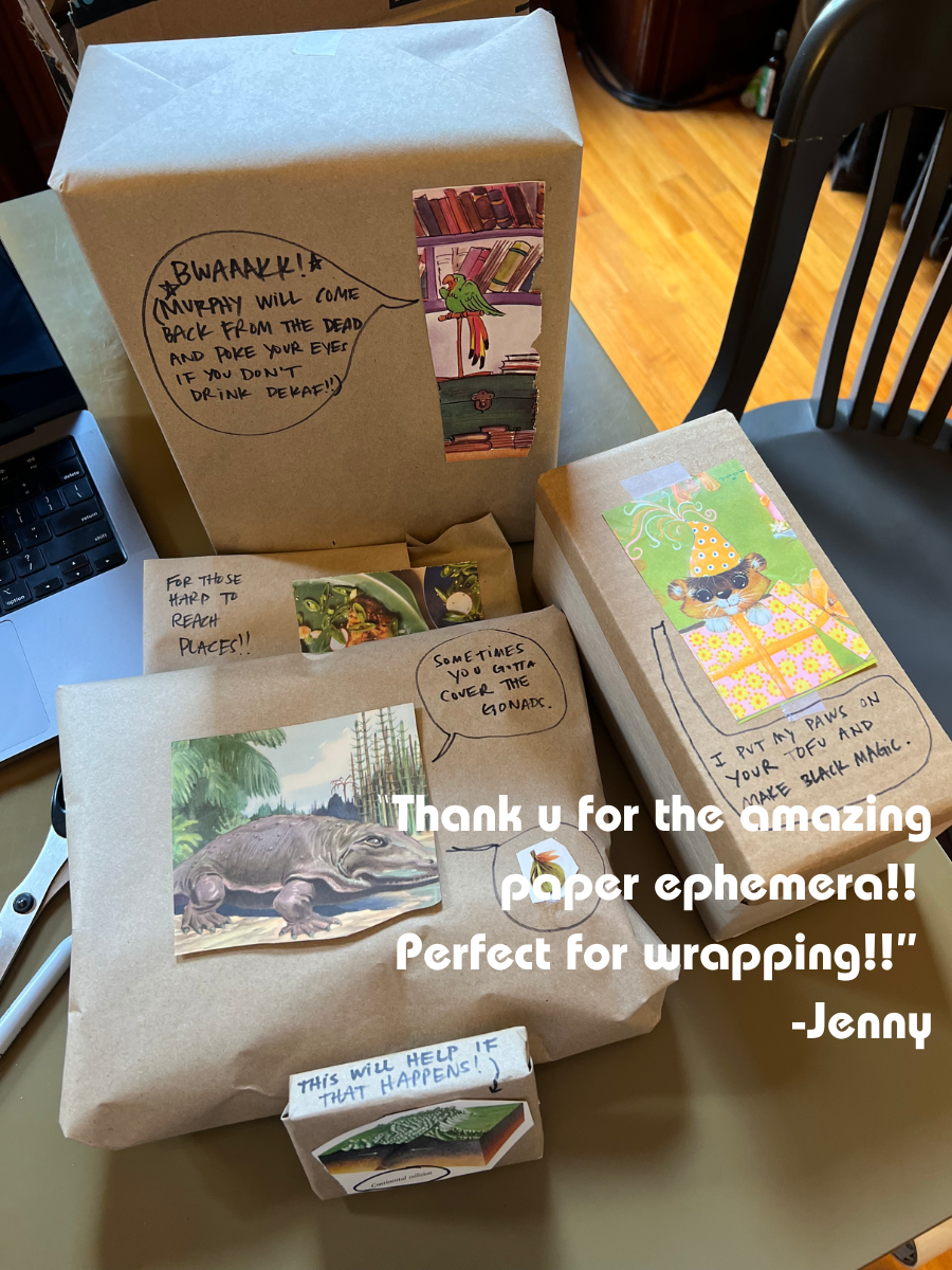 “I had a blast!” - Nancy-3.png