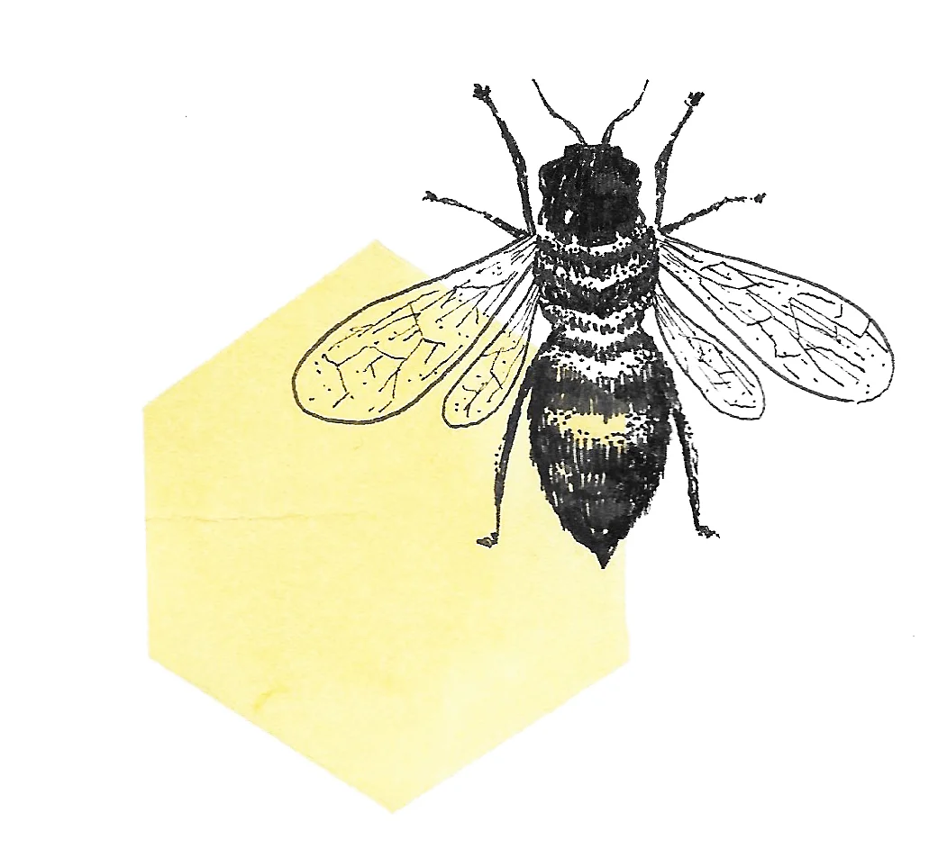 Bee.jpg