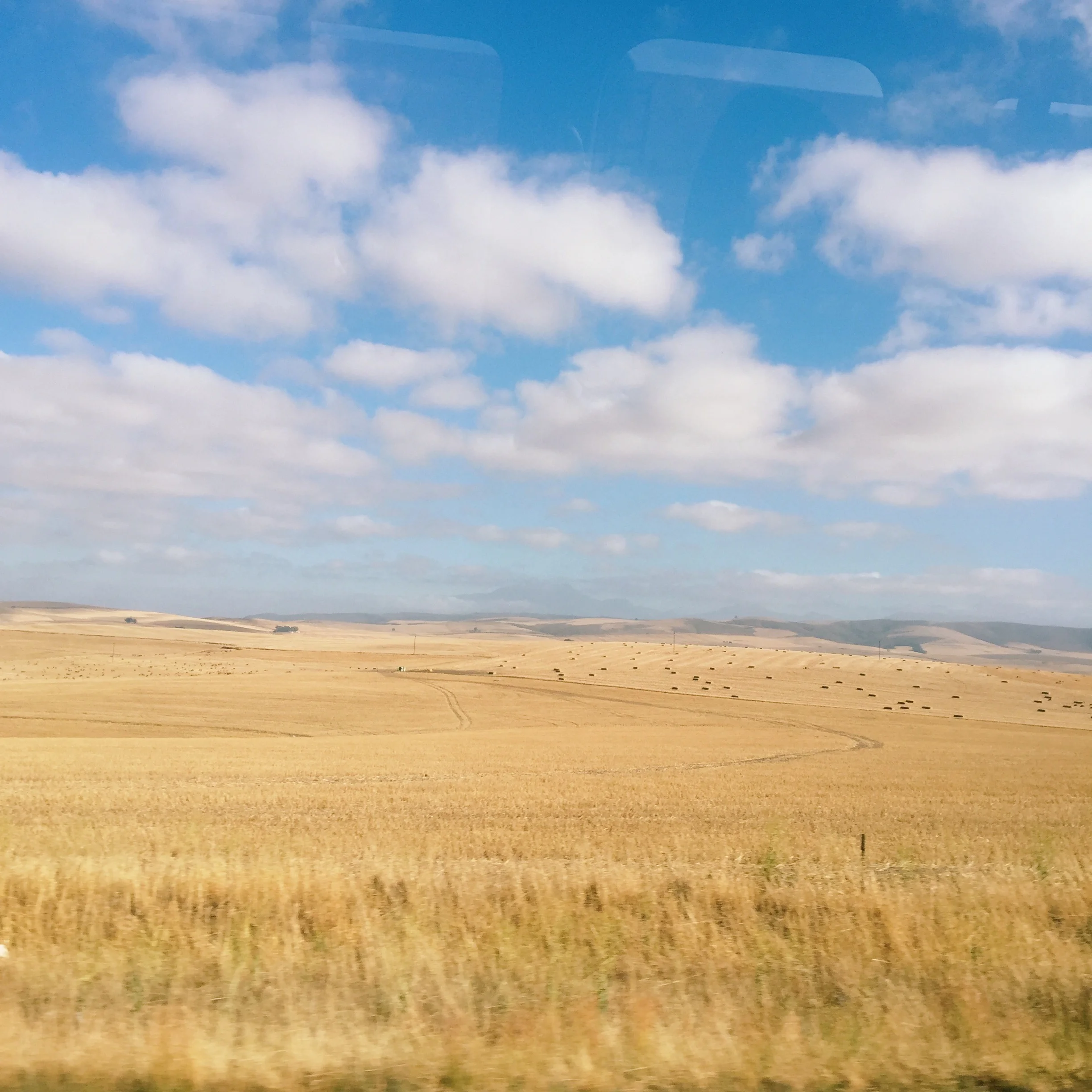 En route with the excursion Cape to Addo multi-day package tour by CapeXtreme. Drove through the Klein Karoo along Route 62 headed towards Oudtshoorn where we visited Cango Endangered Wildlife ranch.