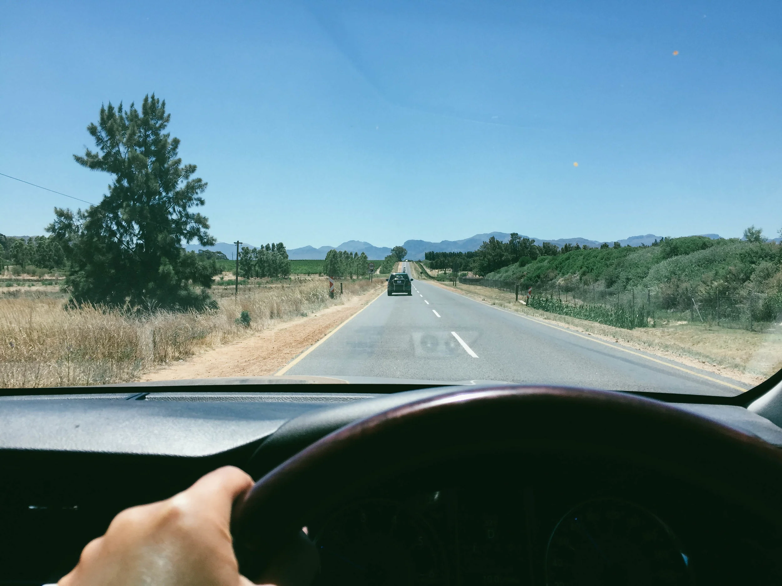 South Africa is also known as a wine country, and this trip won't be complete without a little bit of wine (or a lot if you bought 3 bottles of wine to drink by yourself at your Airbnb). Rent a car and give yourself a drive to nearby towns like Stellenbosch (via M12), Parrl (via R310), and Franschhoek (via R45). The roads are well-developed and scenic, recommended for anyone who likes to be behind the wheels. There is also an option to commute by train in the case of drinking and driving. However, after talking to the locals, they do not recommend this option with a sharp 'No!', especially if you are a solo traveler (let alone being a female). 