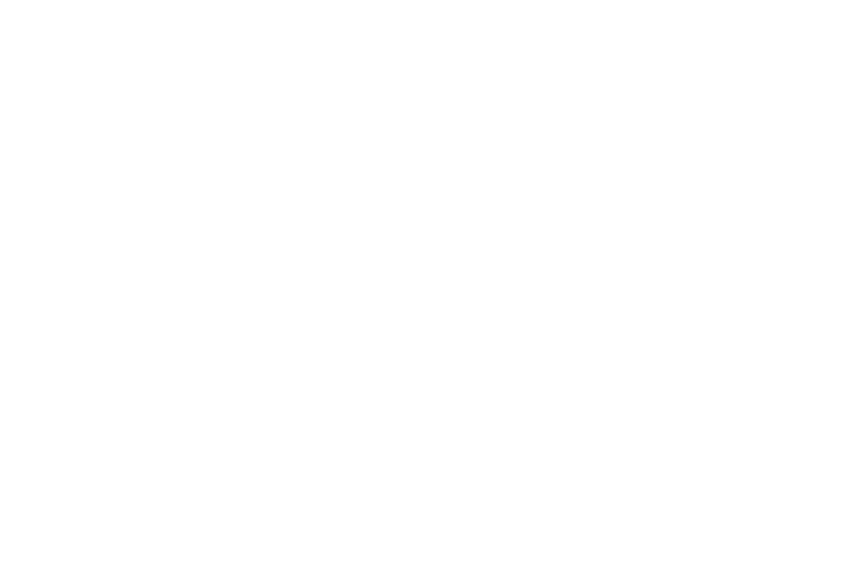 OFFICIAL SELECTION - Munich Music Video Awards - 2021.png