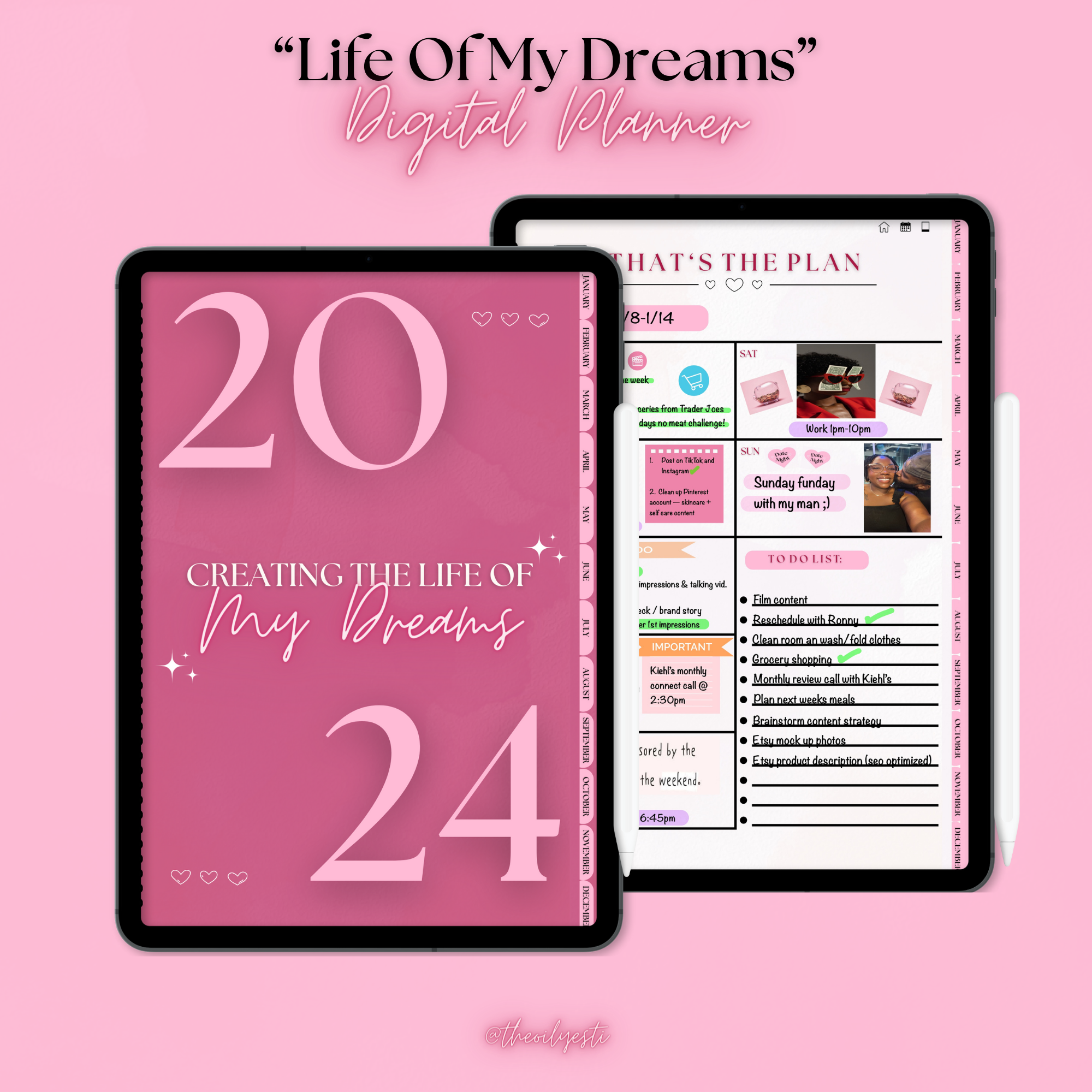 2025 “Life of My Dreams” 12 Month Digital Planner