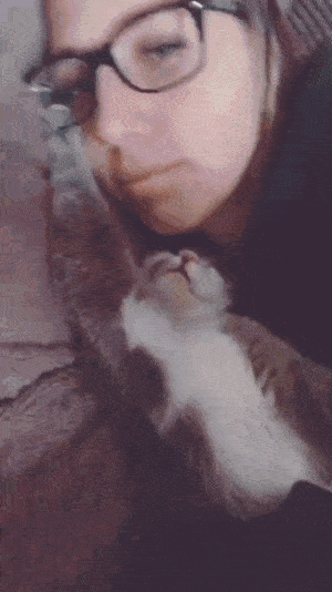 4am-stories-youawakeyet2.gif