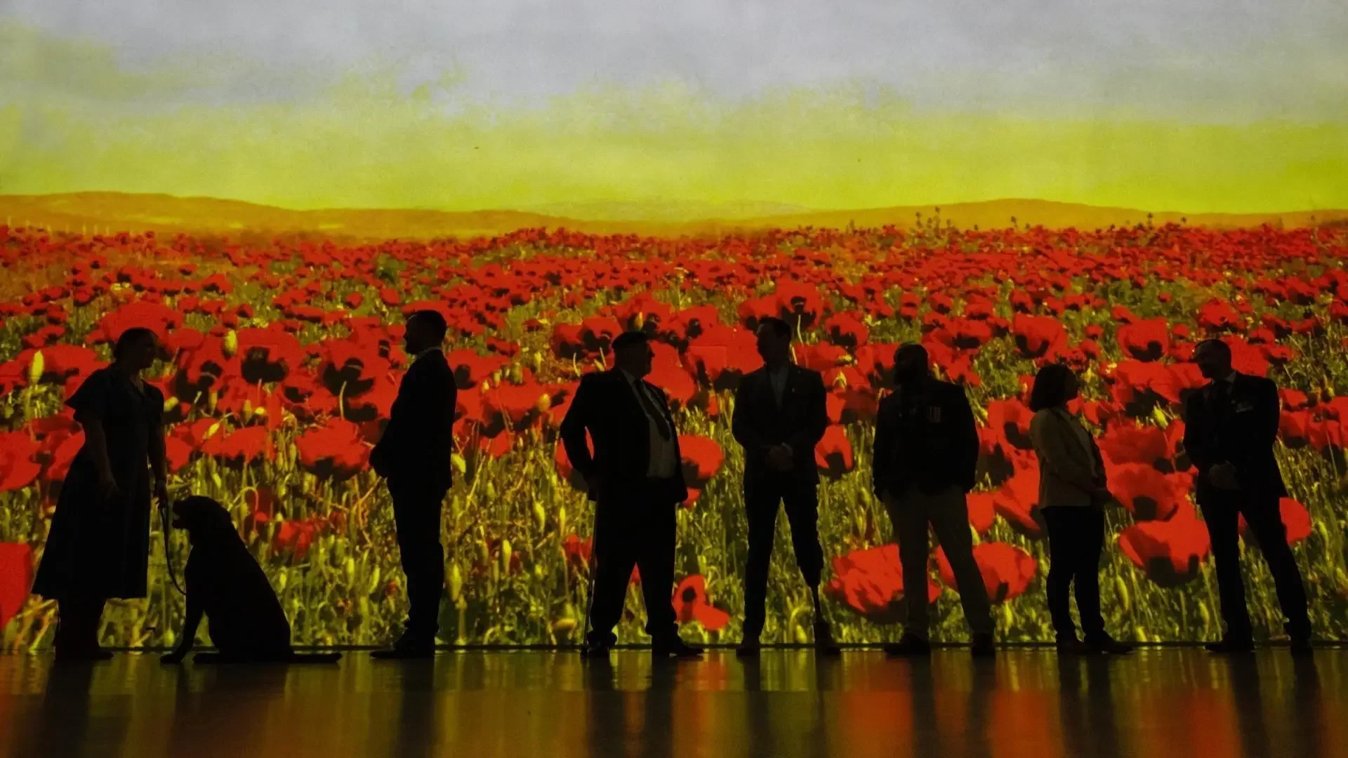 Poppy_Appeal_Launch-1920x1080-ms-aspect-ratio-1920-1080.webp