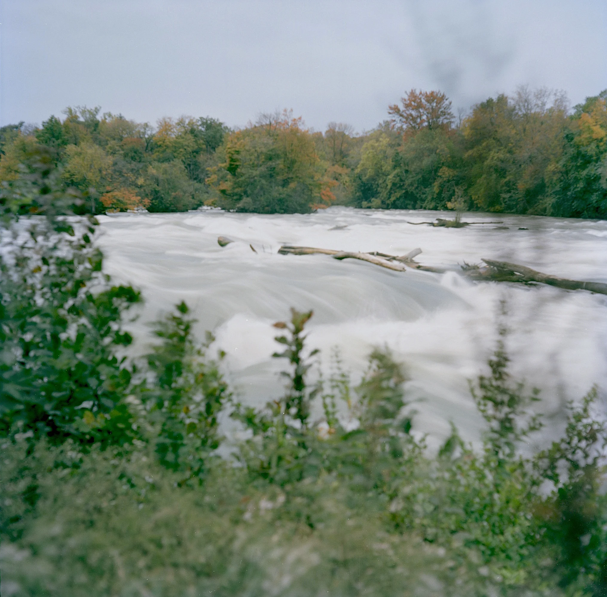 4 Niagara009.jpg