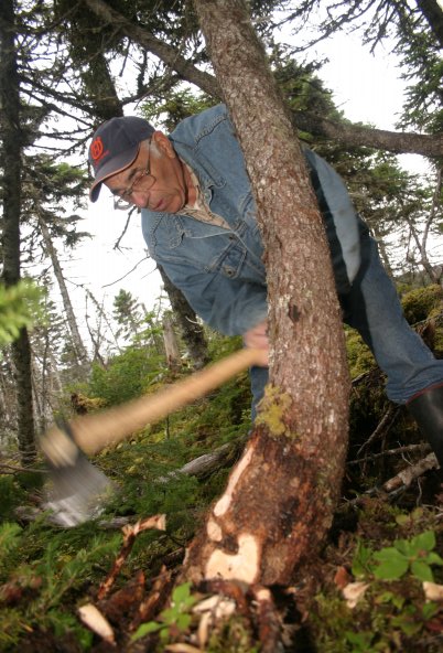 Cutting a grown timber. The curve of the tree keeps the strength of the grain.