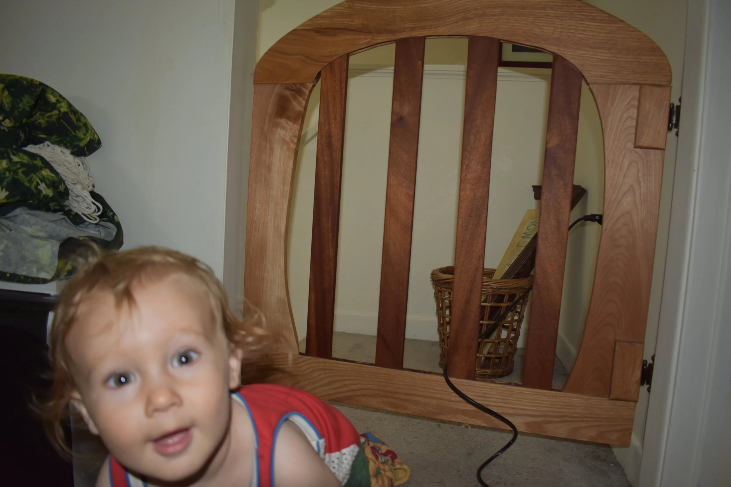 Baby Jail Hobbit Gate
