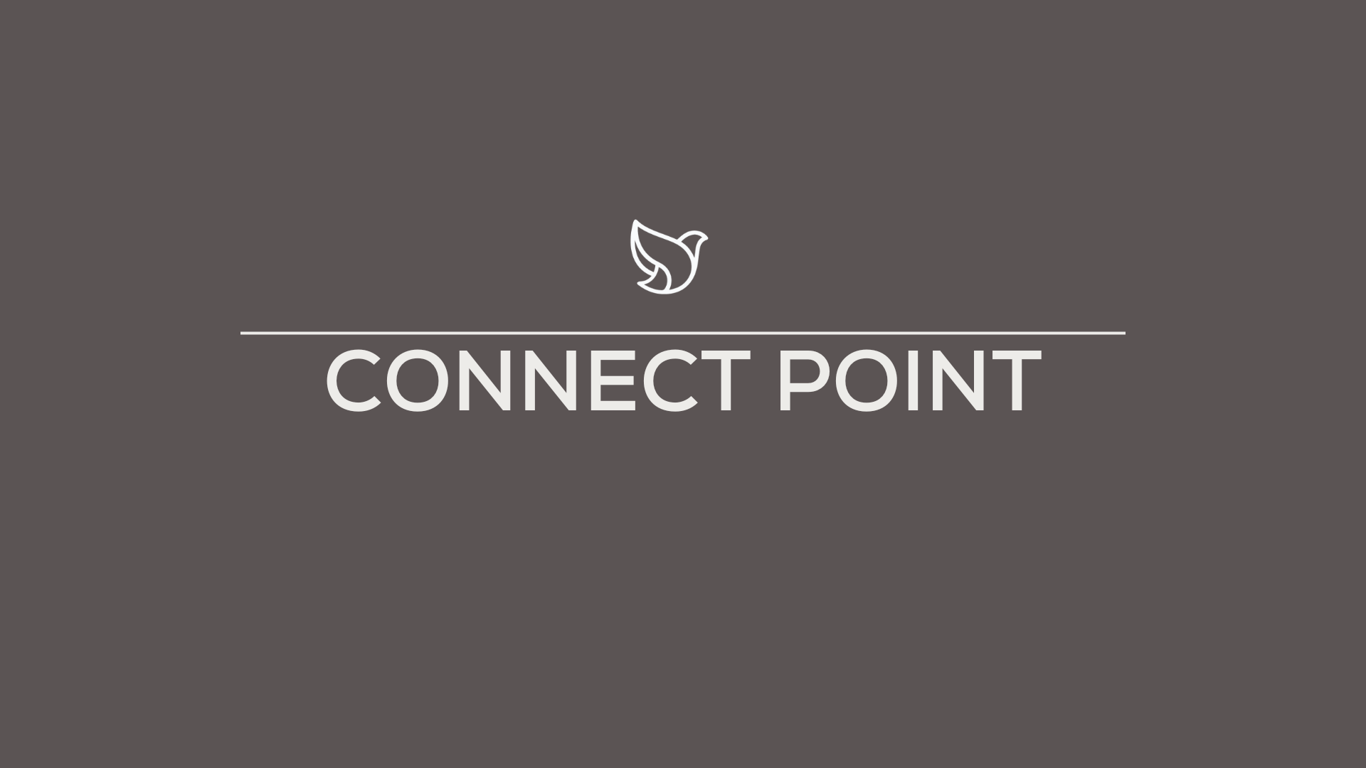 Connect Point