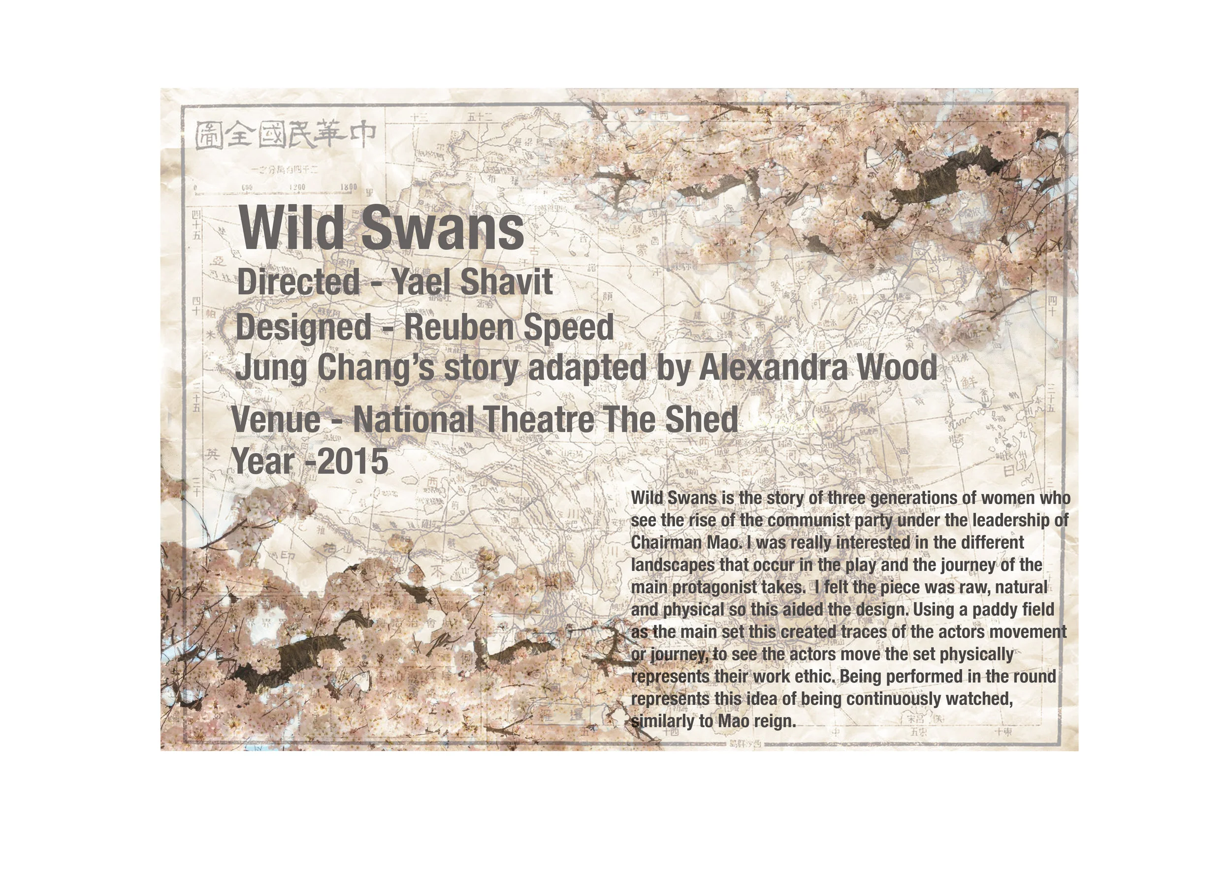 Wild Swans cover page.jpg