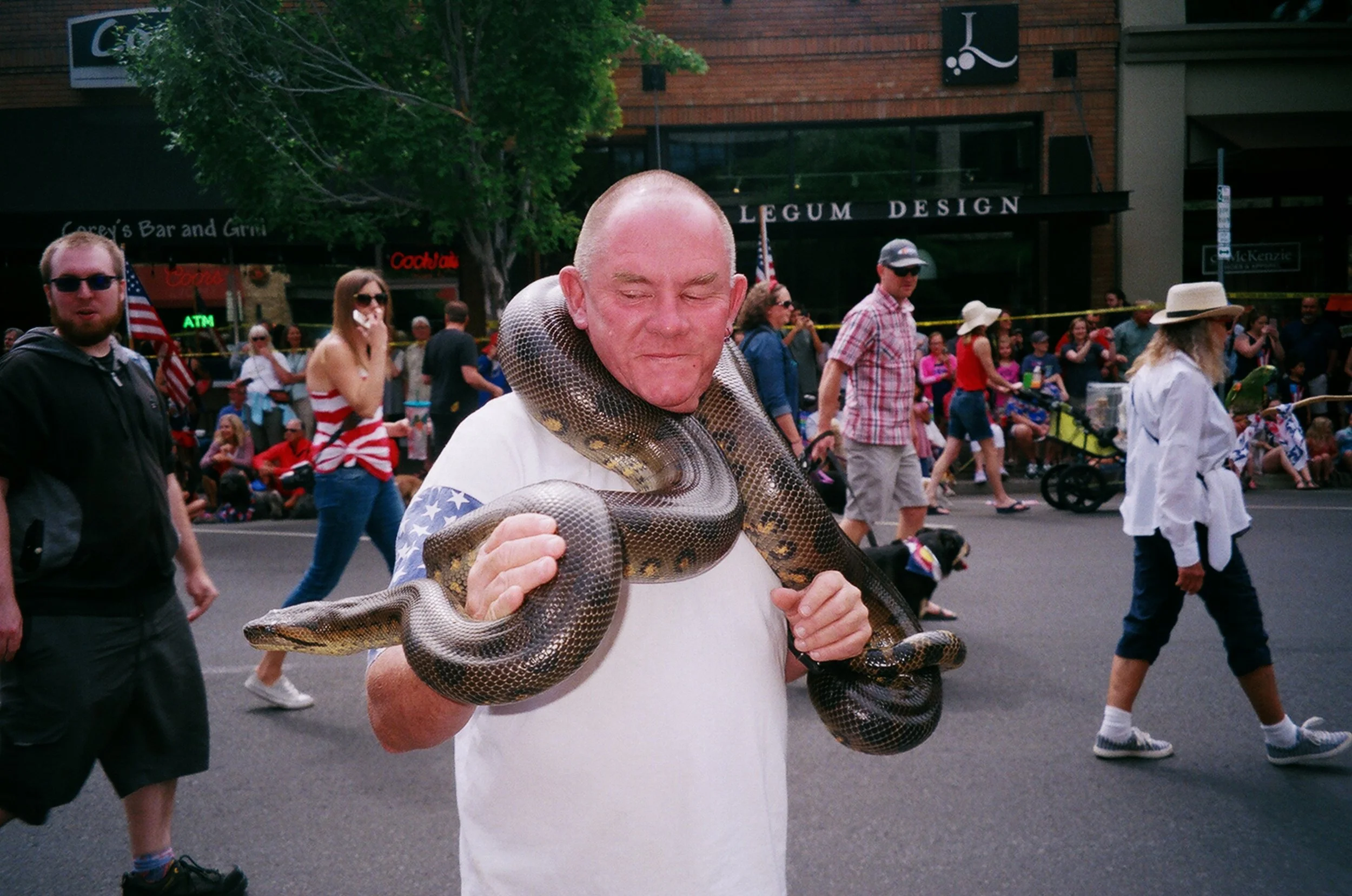 61580017.jpg