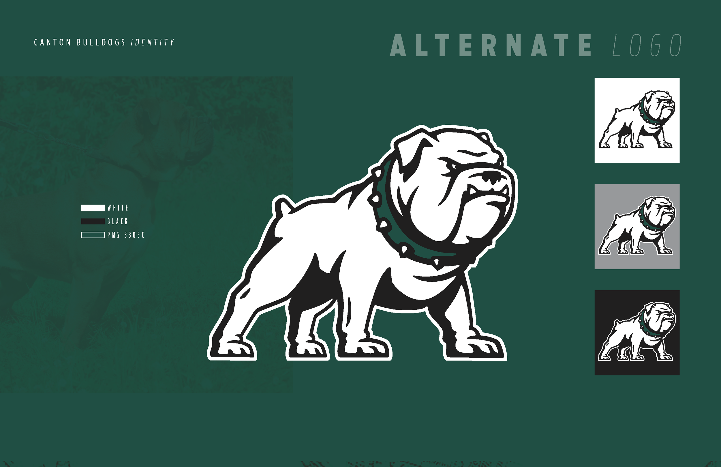 CANTON WEBSITE PAGES_Page_3.png