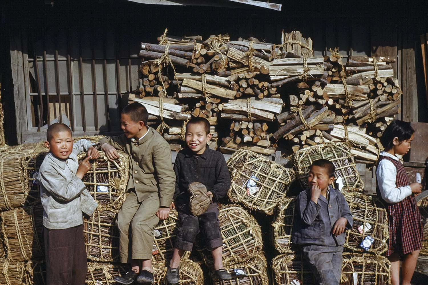 #11 Young Boys, Firewood