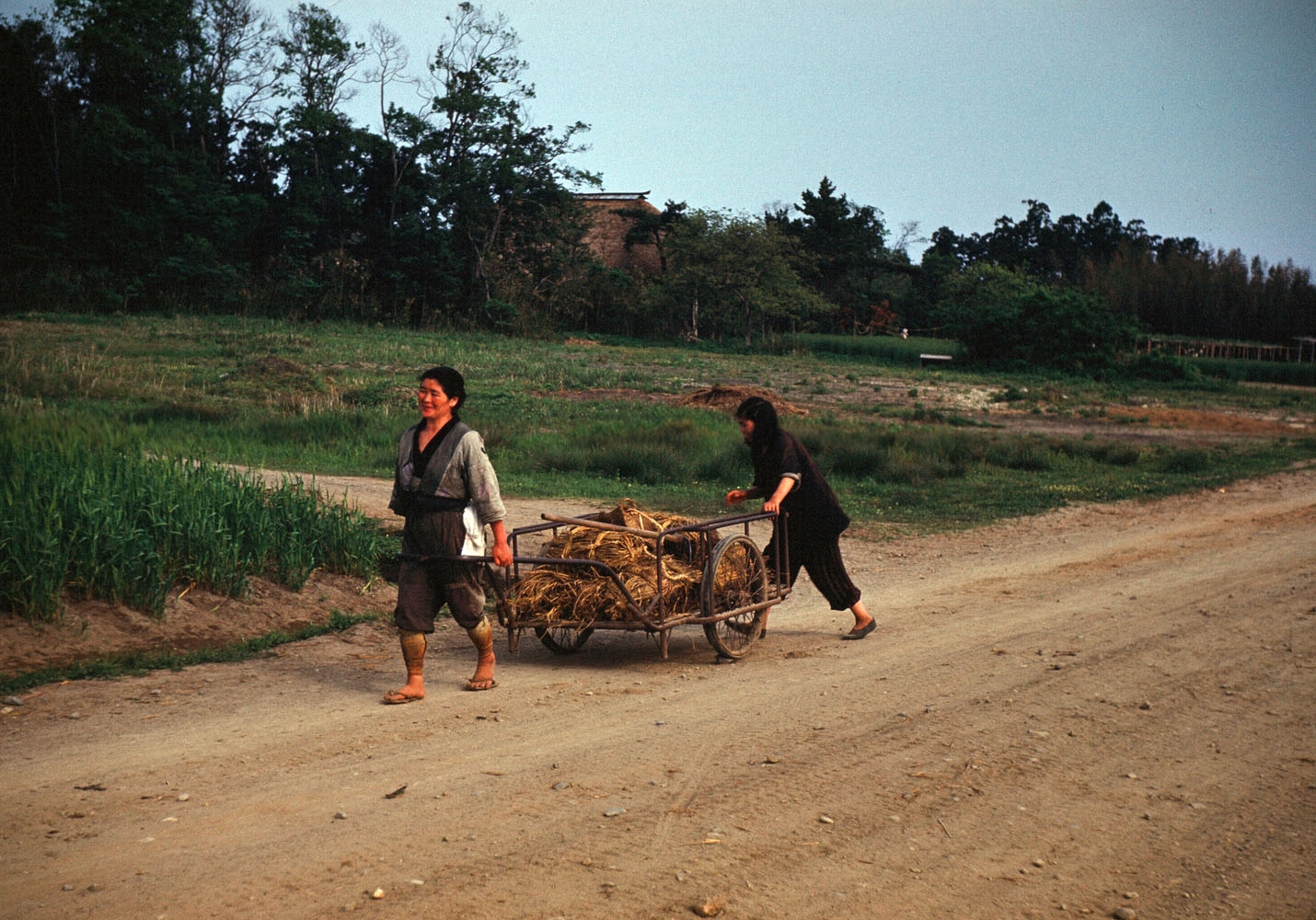 42- Women Pushing Cart on Country Lane