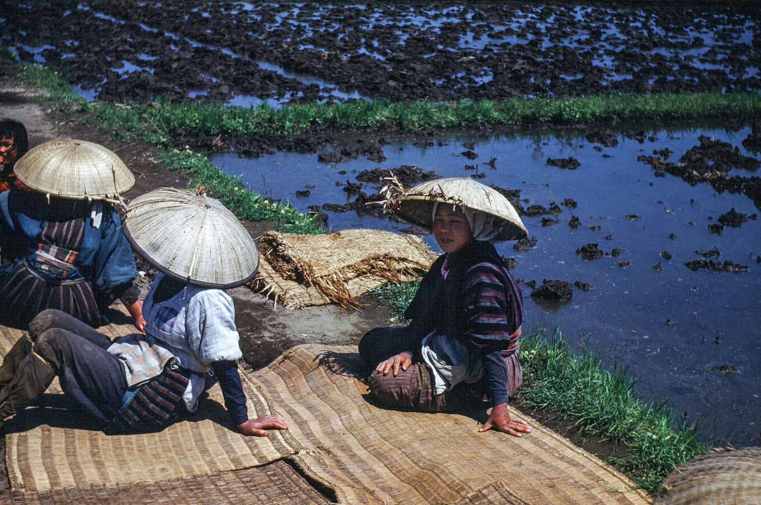 63-Women in Straw Hats Resting Beside Rice Paddies