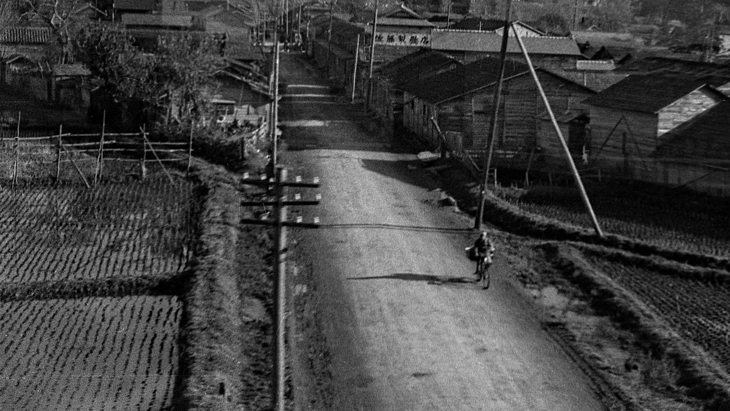 244- Bicycle on Road, Ishinomaki?