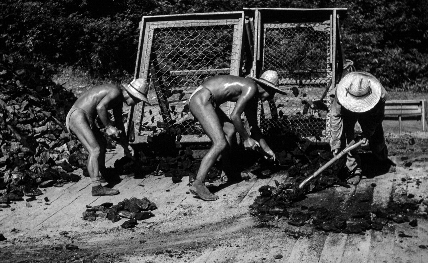 83- Sorting Coal