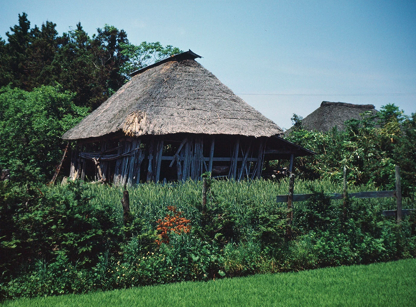 124- Shed with Straw Roof