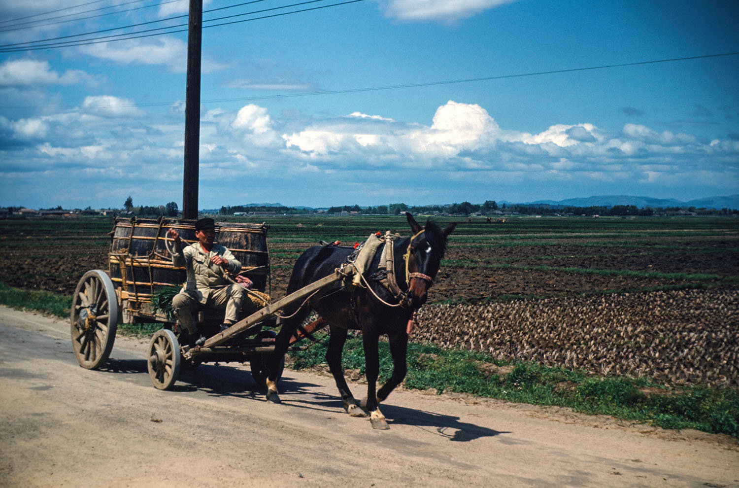 205- Horse Cart 