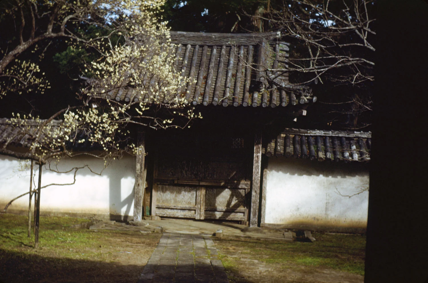 272-Garden Gate