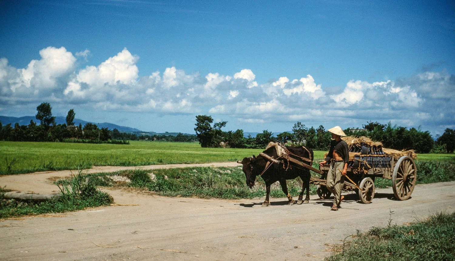 46-Ox Cart with Load of Roof Tiles