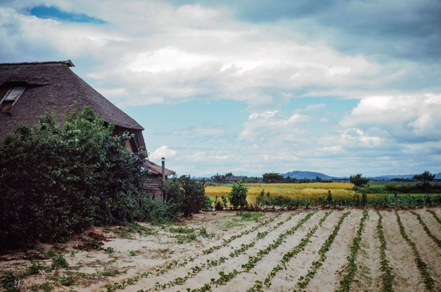 342-Farm Building and Fields