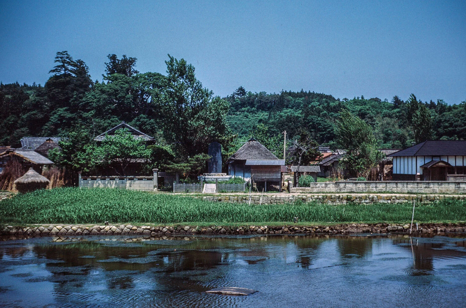 376-Houses Along Canal